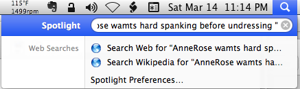 ./ SERVICE TO PRESIDENT - 'AnneRose wamts hard spanking before undressing ' - OK - Screen Shot 2015-03-14 at 11.14.48 PM.png